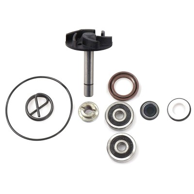 Kit de reparación bomba de agua Beverly 250 (04-05) V PARTS