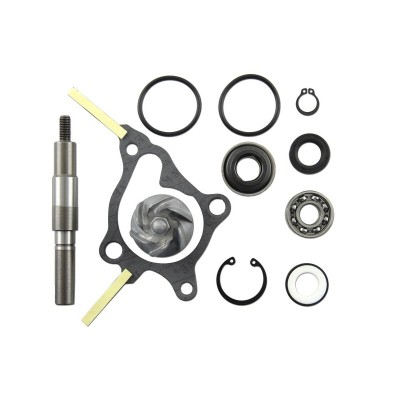 Set repara eje bomba de agua V PARTS