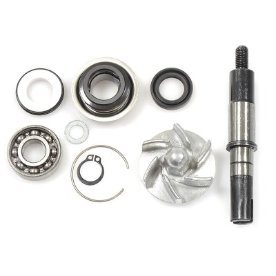 Kit de reparación bomba de agua Daelim S3 125 V PARTS