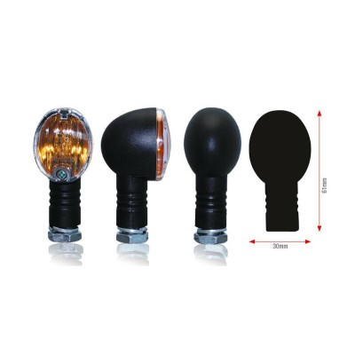 Juego de intermitentes BIHR Basic 21W