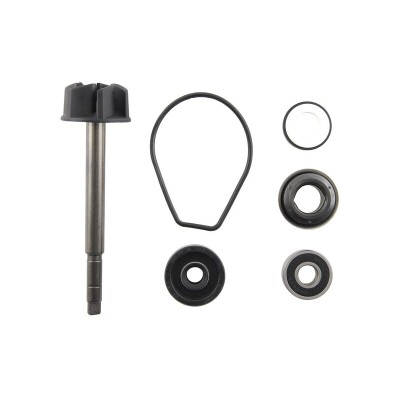 Set repara eje bomba de agua